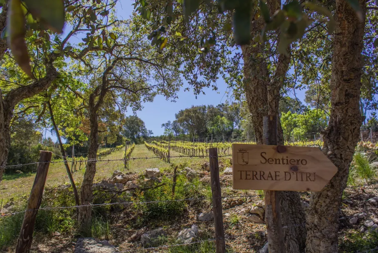 sentiero_terrae_ditrj