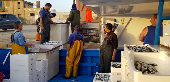 Fish tour in Terracina