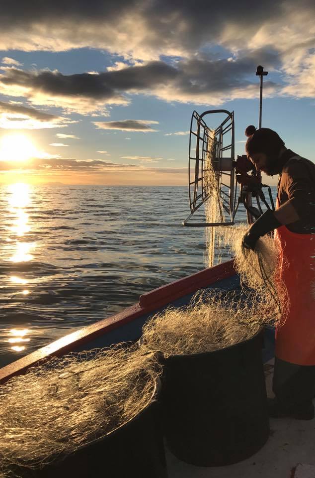 16649500_1429760360376616_7791943789138621283_n