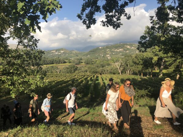 People walking in the vineyards at Monti Cecubi winery in Itri and Sperlonga